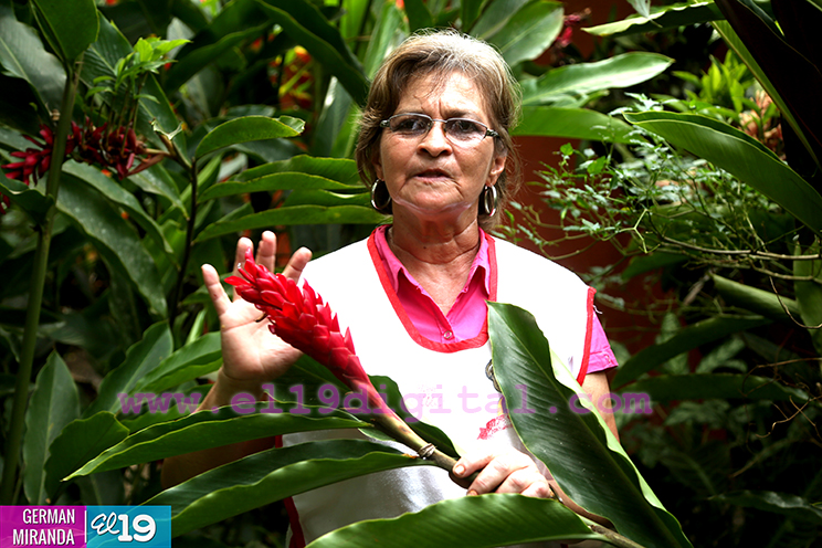 Orqu&iacute;deas, ranas y mariposas
